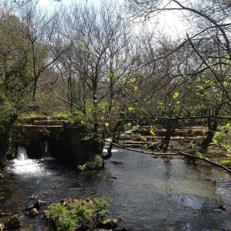 Trisileja En Puente Romano Toñanes Eksteriør bilde